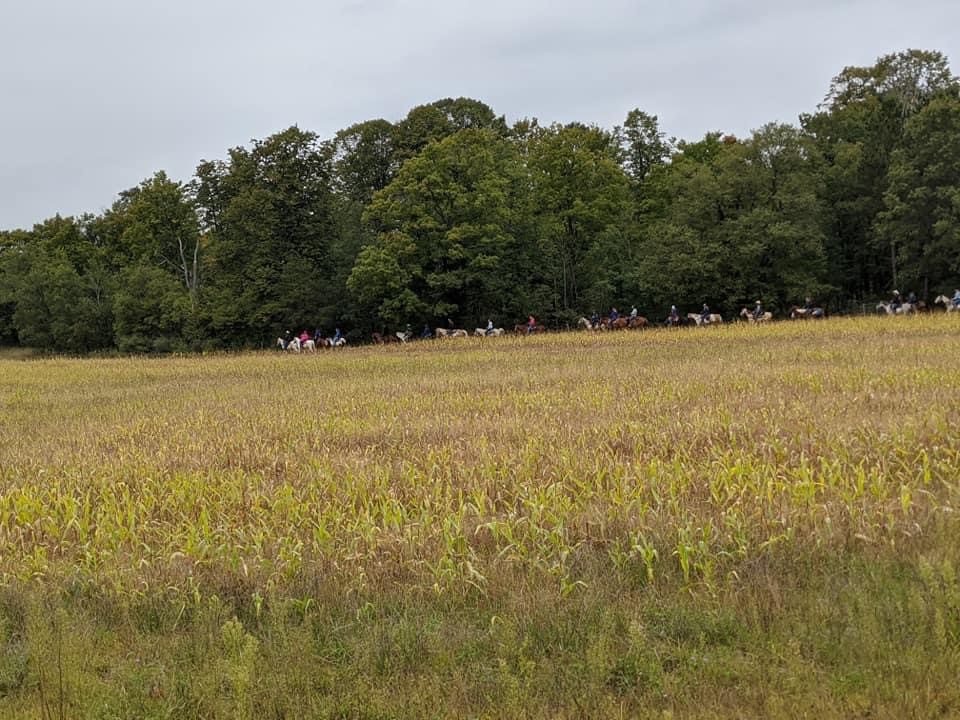 Open Field During Ride